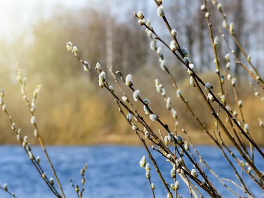 Rodzinna Wielkanoc na Mazurach ? pomysł na spokojny wyjazd świąteczny