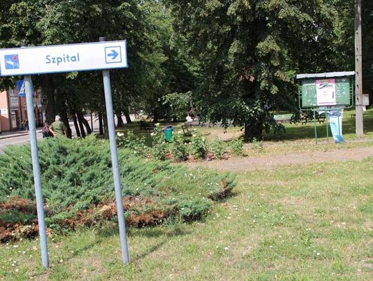 Wojna wokół darowizny miasta dla STOnZ. Czyj jest mały park? (publikujemy akt notarialny)