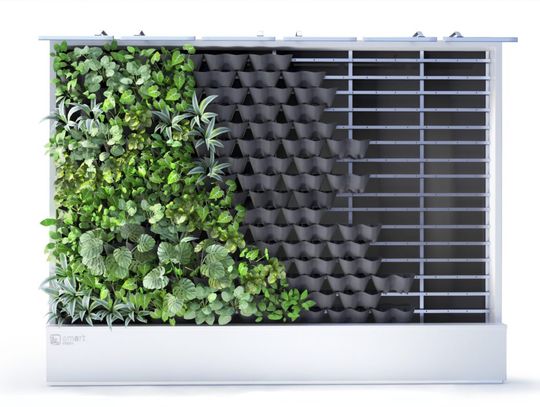 Zielony element współczesnych przestrzeni biurowych