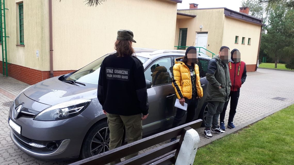 Straż Graniczna zatrzymała 12 imigrantów w gminie Sejny